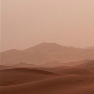 Meet your Posher, Tiana